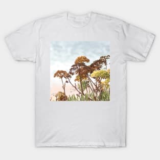 Succulent wild flowers by the sea - sea fennel T-Shirt